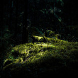 Sånga Säby Restaurang Utomhus