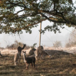 Glass- Och Gottboden Utomhus