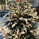 Gröna Stugan Utomhus