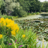 Gröna Stugan Utomhus