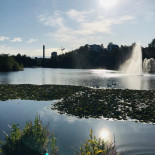 Gröna Stugan Utomhus