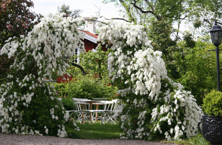 Dufweholms Herrgård Utomhus