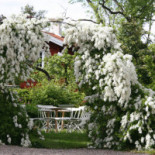 Dufweholms Herrgård Utomhus