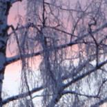 Dala-floda Värdshus Dryck