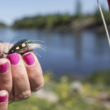 Älvkarleö Herrgård Dryck