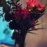 Älvkarleö Herrgård Dryck