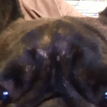 Maharajah Vasastan Dryck