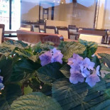 Pizzeria Milano Utomhus