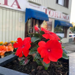 Pizzeria Torino Dryck