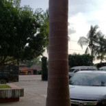 Apollo Pizzeria Utomhus