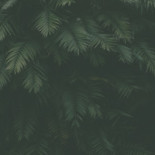 Mat Prat, Norrmanska Gården Dryck