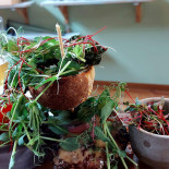 Sotnosen I Fornstugan Dryck