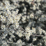 Storstugan Hellasgården Dryck