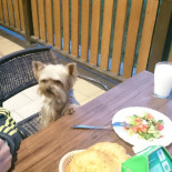 Trivs Pub Restaurang Dryck