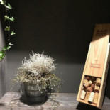 Pizzeria Pinocchio Dryck