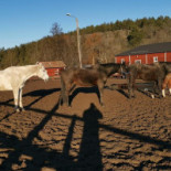 Tollare Folkhögskola Och Kursgård Utomhus