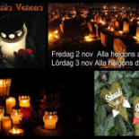 Pizzeria Verona Dryck