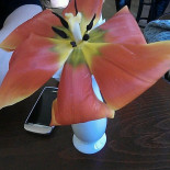 Rönninge Bistro Dryck