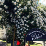 Ebbas By The Sea Utomhus