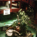 Golden Palace Kina Restaurang Utomhus