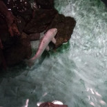 Golden Palace Kina Restaurang Dryck