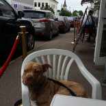 China Restaurang Borgholm Utomhus