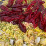 Brasseriet Plantis Mat