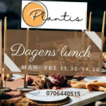 Brasseriet Plantis Logotyp