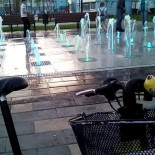 Thai Kitchen Restaurang Inomhus