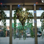 Simons Corner Utomhus