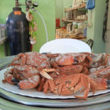 Kalas Restaurang Mat