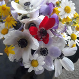 Pizza Hut Barkarby Dryck