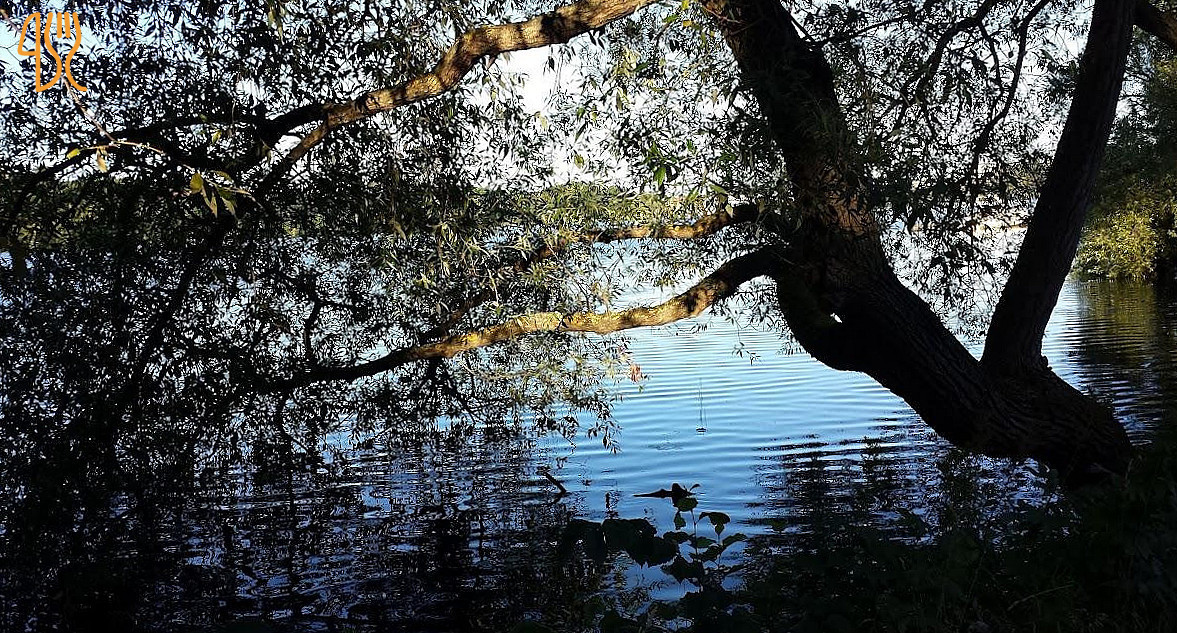 Hufvudsta Gård Utomhus