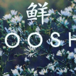 Sooshi Karlstad Logotyp