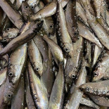 Dilkhush Indian Dryck