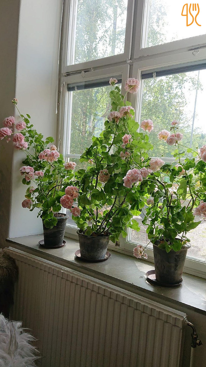 Månses Design Utomhus