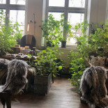 Månses Design Utomhus