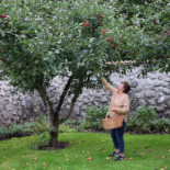 Bjärsjölagård Castle Utomhus