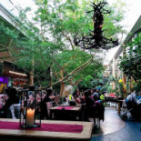 Restaurang Ester Utomhus