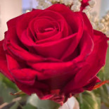 Restaurang Ester Dryck