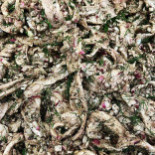 Château Forêt Dryck