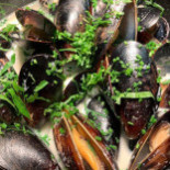 Château Forêt Dryck