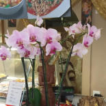 Bjuvs Gatukök Dryck