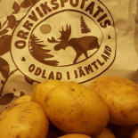 Trattoria Da Vinci Dryck