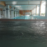 Sunlight Conference Dryck