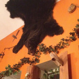 Kaiyo Japansk Restaurang Bålsta Utomhus