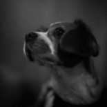 Lokalen Snackbar Dryck