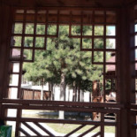 Trivs Pub Restaurang Utomhus