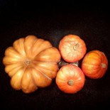 Hehrne Hotell Konferens Dryck