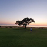 Barsebäck Bistro Utomhus